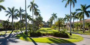 Palm trees and gardens across campus