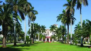 Palm-lined lawn leading to a campus building