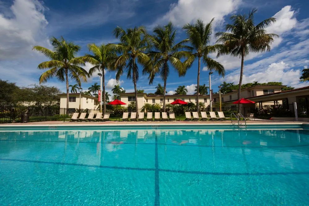 Outdoor pool with loungers and palm trees