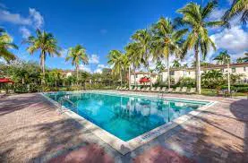 Pool deck surrounded by palm trees
