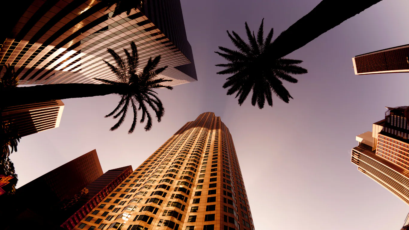 Palm trees and tall buildings viewed from below