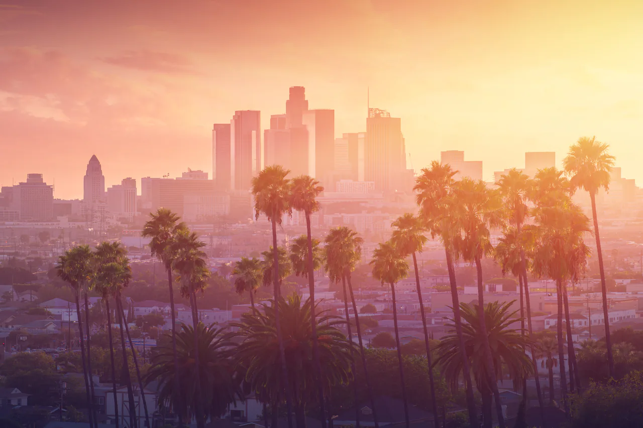 Los Angeles skyline and palm trees