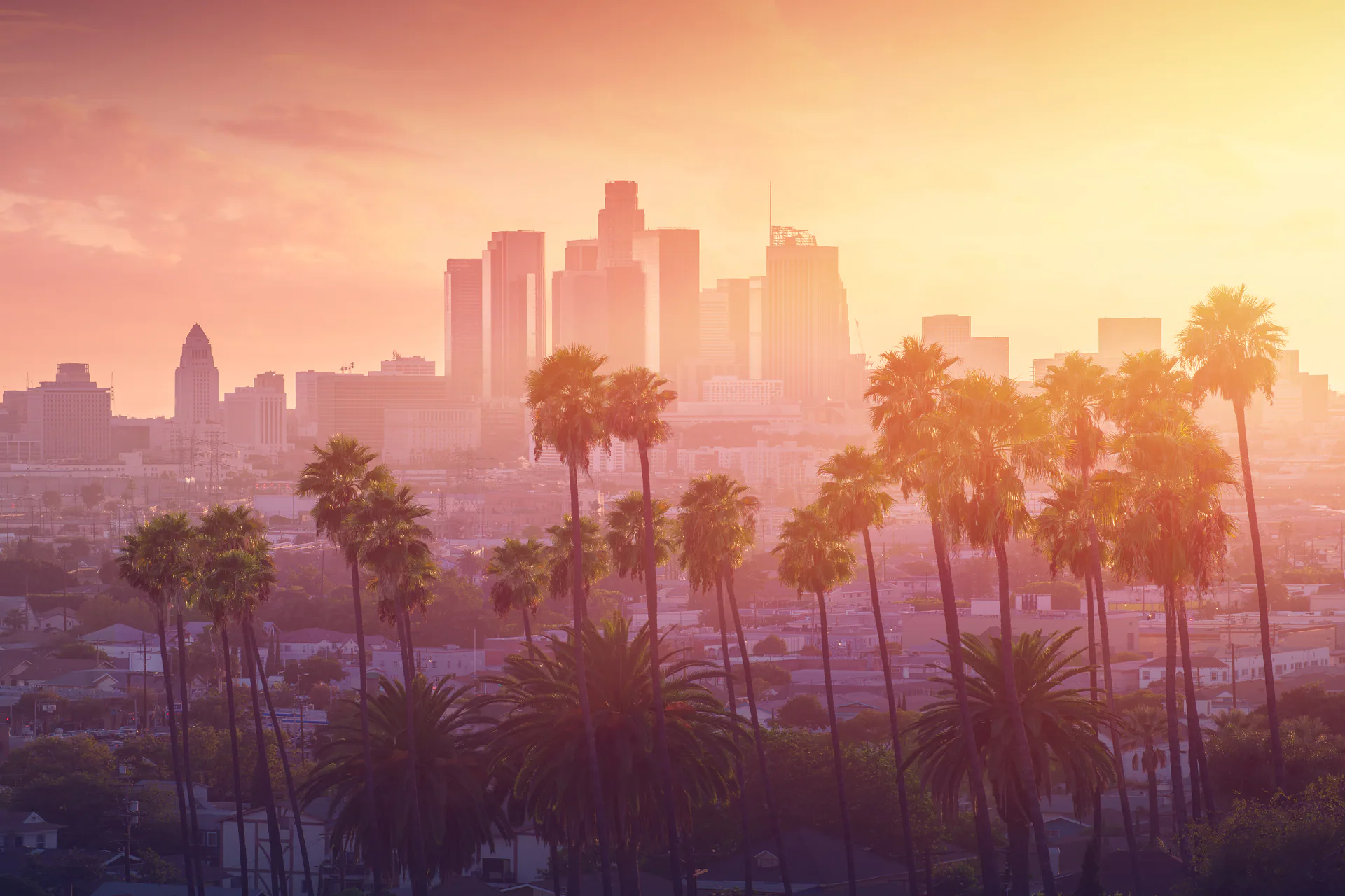 El horizonte de Los Ángeles y palmeras