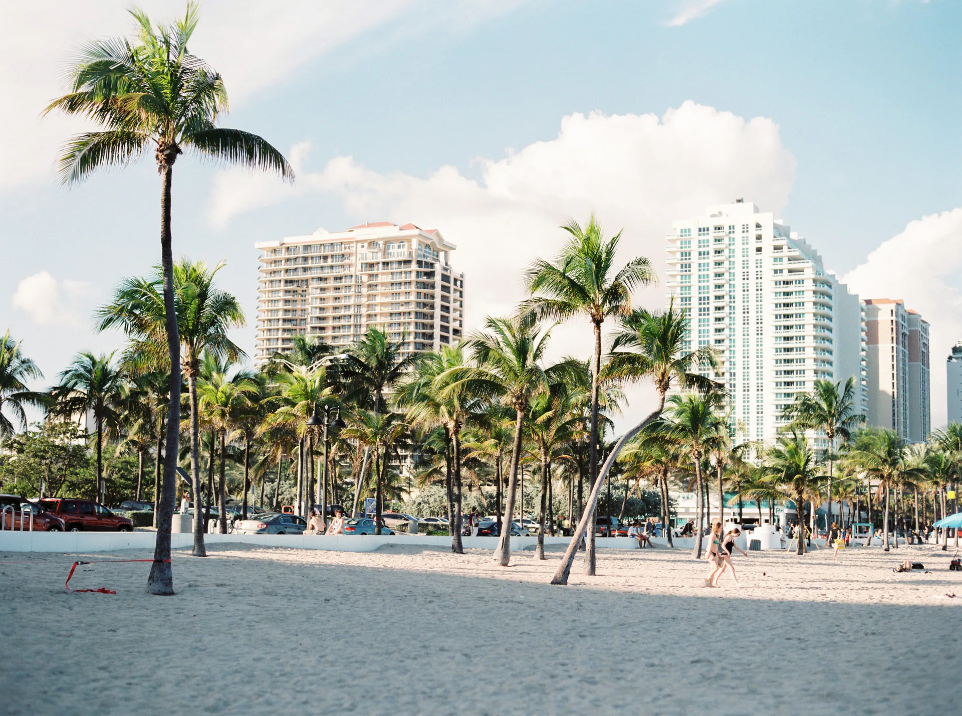 Miami waterfront, skyline, and palm trees